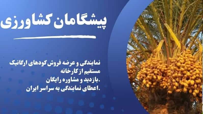 خرید و قیمت بهترین کود مایع محرک رشد در کرمان