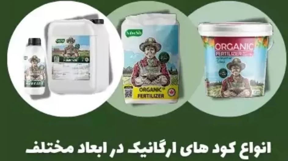 سبوسیب
