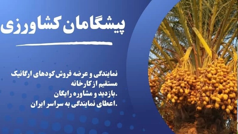 خرید و قیمت بهترین کود مایع محرک رشد در کرمان خرید و قیمت بهترین کود مایع محرک رشد در کرمان