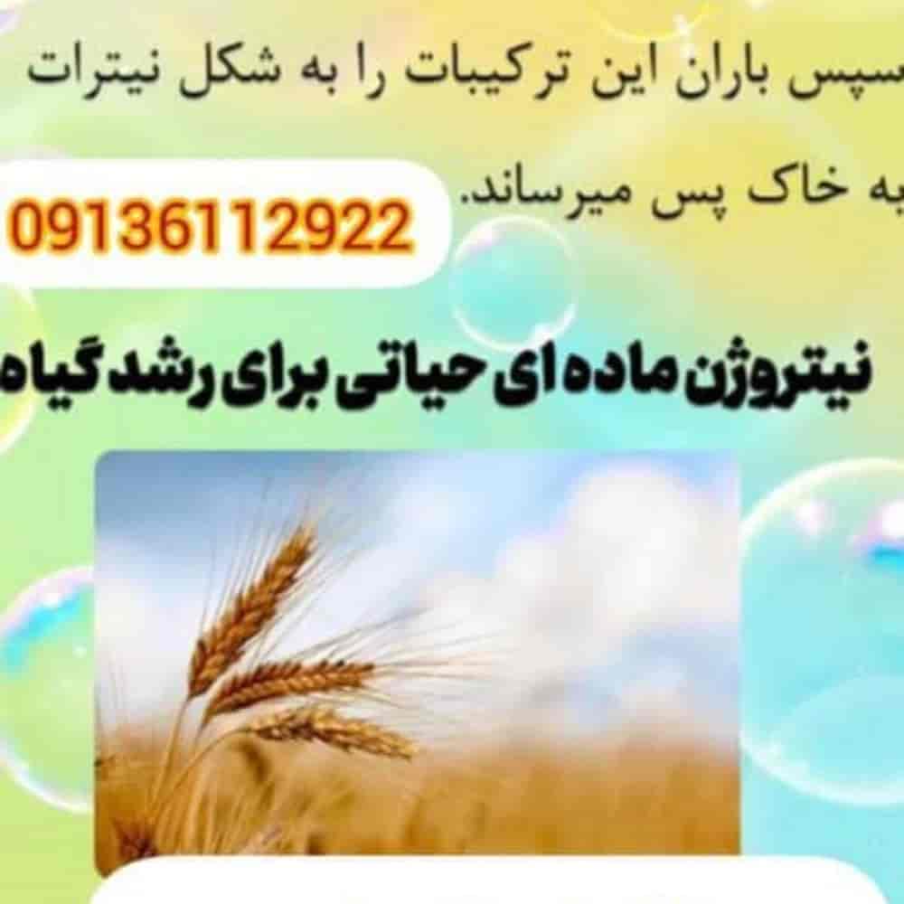 1747035593209.webp 1747035593209.webp